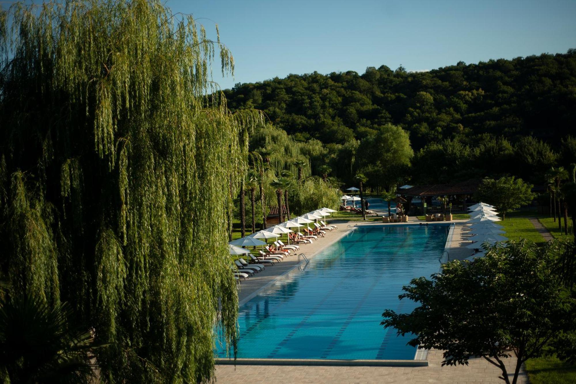 Napareuli Lopota Lake Resort & Spa מראה חיצוני תמונה The pool at the Hotel