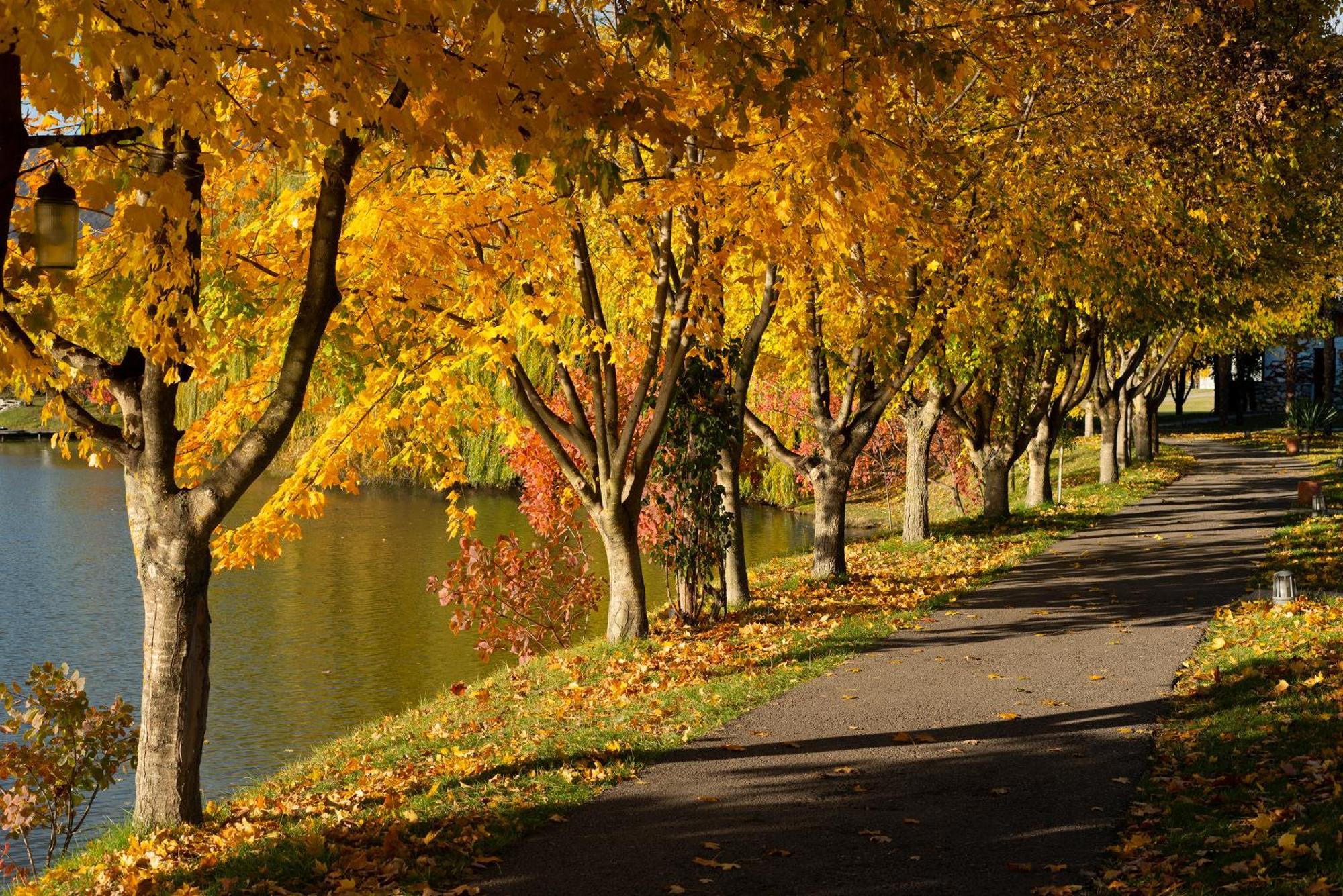 Napareuli Lopota Lake Resort & Spa מראה חיצוני תמונה Autumn in the United States