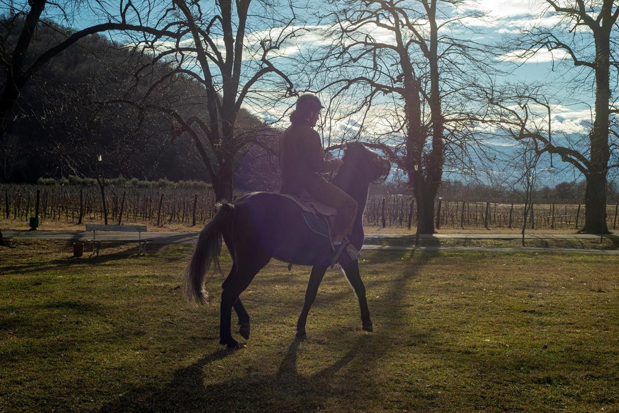 Napareuli Lopota Lake Resort & Spa מראה חיצוני תמונה A horse and rider